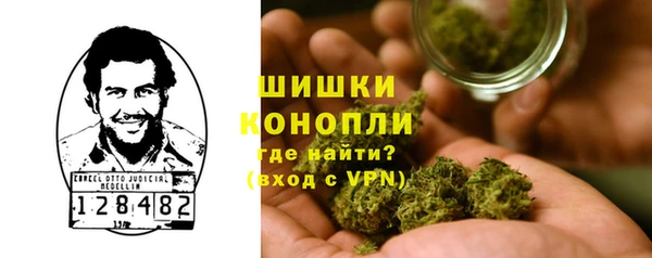 твердый Бородино