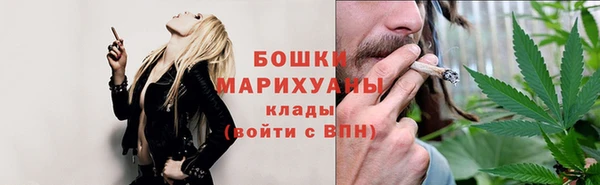 твердый Бородино