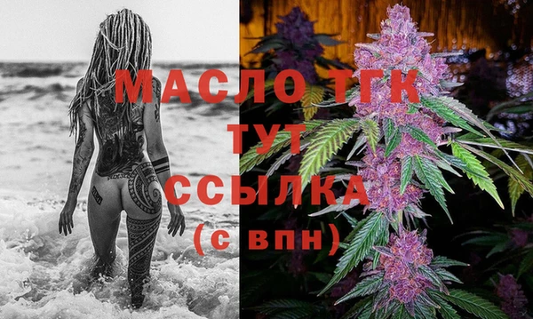 твердый Бородино